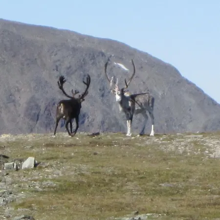 Utsikten I