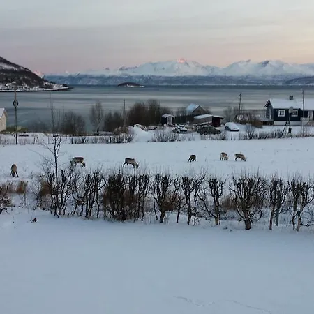 Utsikten I * Bakkeby