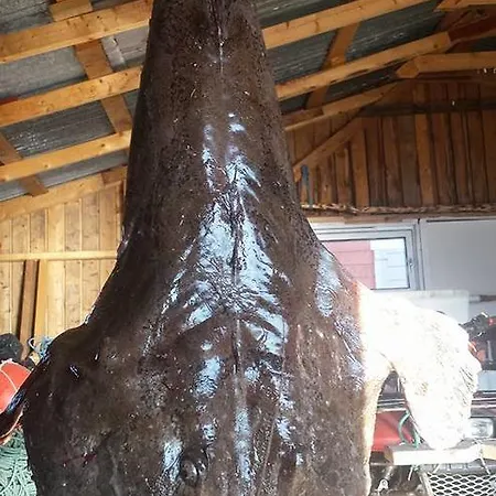 Utsikten I Casa vacanze *