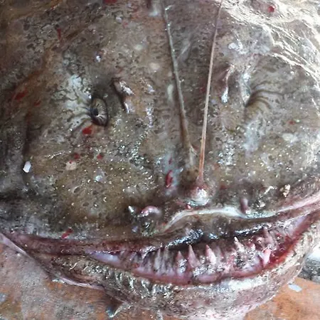 Casa vacanze Utsikten I Bakkeby