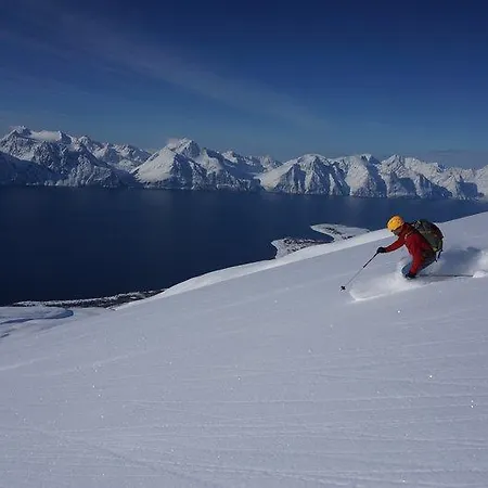 Utsikten I *