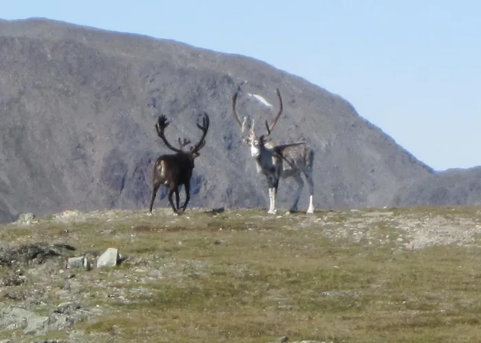 Utsikten I