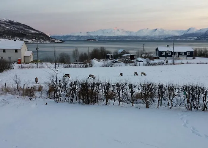 Utsikten I * Bakkeby