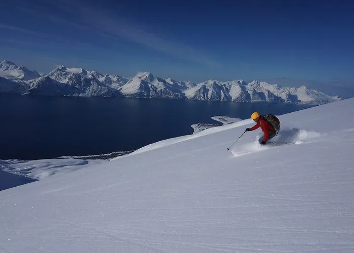 Utsikten I *